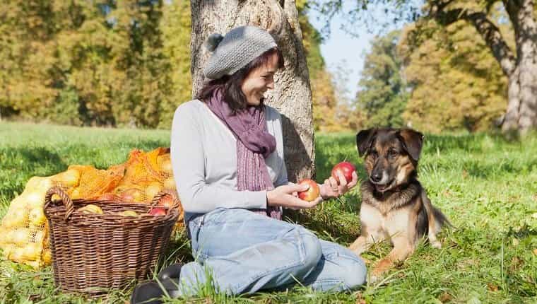 Mujer recogiendo manzanas con perro