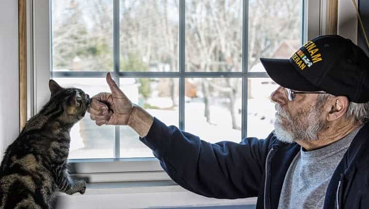 Una persona real de 67 años, un veterano de la Marina de los EE. UU. En la Guerra de Vietnam, está jugando y hablando con su mascota, un gato atigrado, que está en equilibrio sobre el alféizar de la ventana de un dormitorio.
