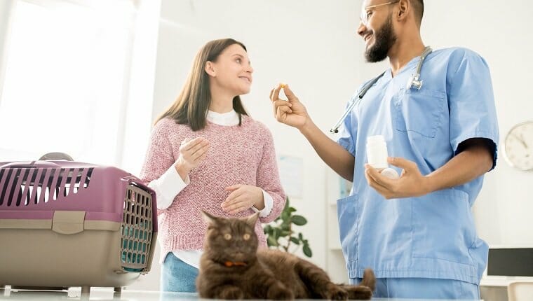 Joven veterinario profesional que consulta al dueño de una mascota enferma y le muestra vitaminas o aspirinas para la salud