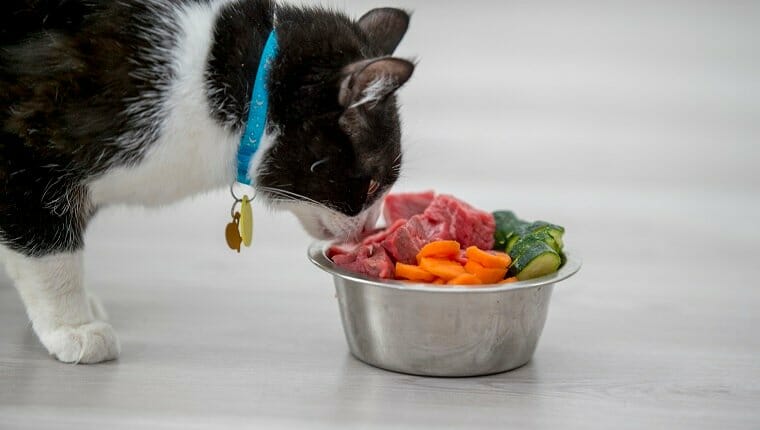 Un lindo gato está dentro de una cocina.  Está oliendo un plato de comida que contiene zanahorias, pepinos y carne.