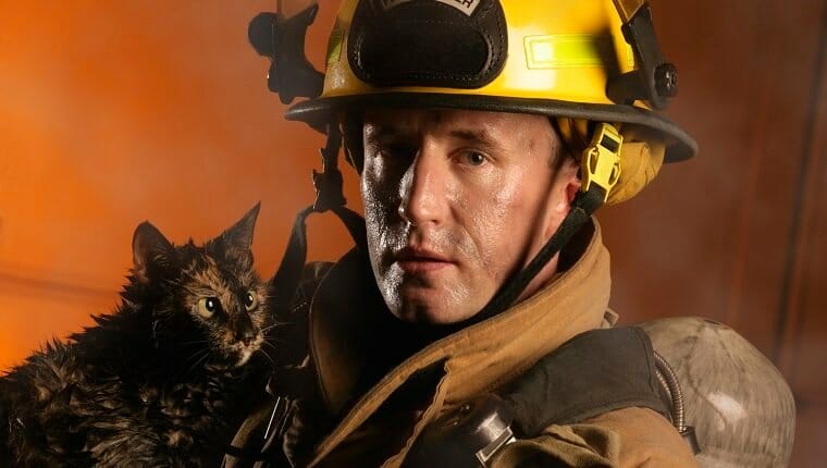 bombero y un gato