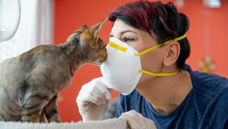 Una dueña de una mascota adulta mediana besando a su gato con una máscara protectora durante la pandemia de coronavirus.
