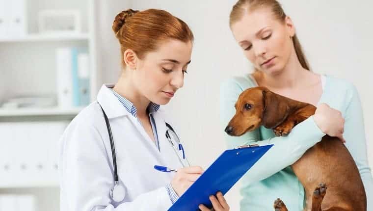 Concepto de medicina, cuidado de mascotas y personas - mujer sosteniendo perro dachshund y veterinario con portapapeles tomando notas en la clínica veterinaria