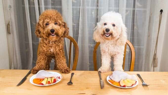 perros en la mesa de la cena