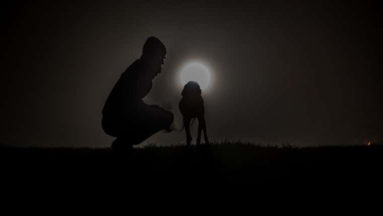 Hombre en cuclillas junto a un perro en el campo por la noche