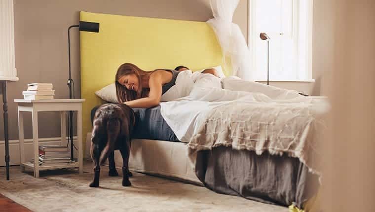 Un perro está al lado de una cama mientras una mujer se inclina y lo acaricia.