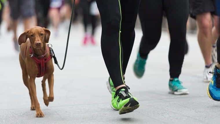 Mujer corriendo con su perro en una carrera