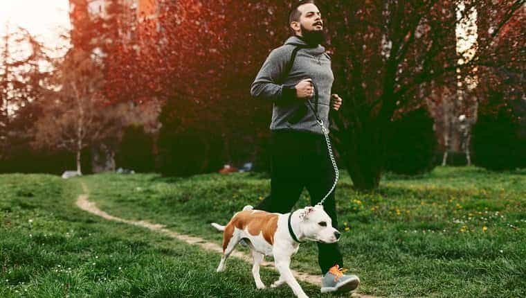Hombre corriendo con su mascota, el staffordshire bull terrier.  Está corriendo en su barrio.
