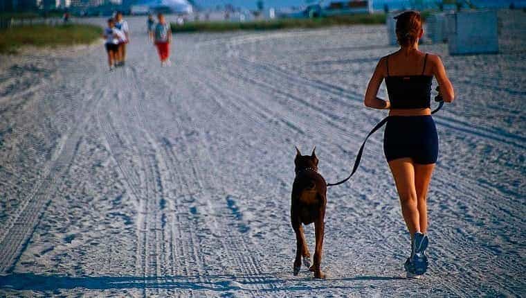 mujer corriendo y perro en la playa, fl