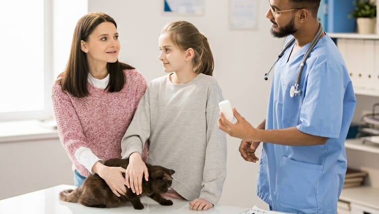 La niña y la madre abrazan al gato peludo mientras el joven veterinario les muestra las pastillas de griseofulvina para mascotas.