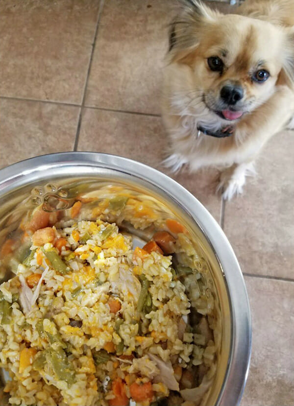 10 recetas caseras de comida para perros que toda mamá debería saber