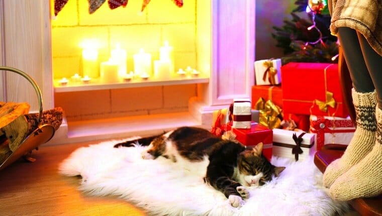 Un gato duerme sobre una alfombra blanca frente a una chimenea encendida con velas y regalos debajo de un árbol de Navidad.  ¿Los gatos hibernan en invierno?