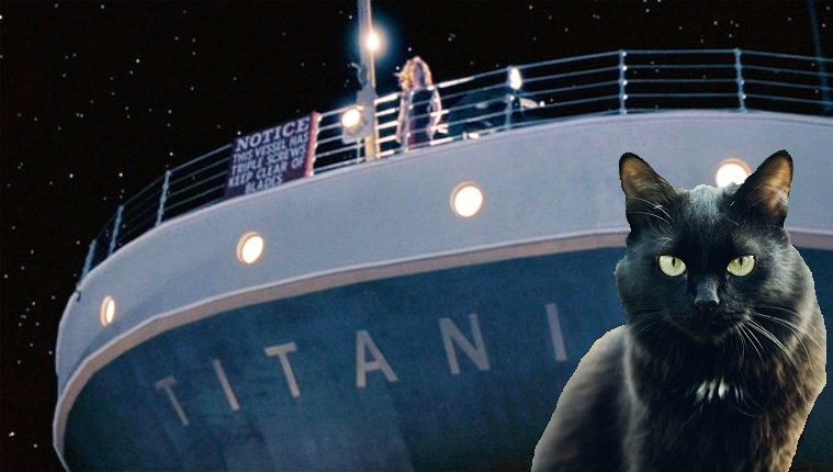 gato frente al titanic
