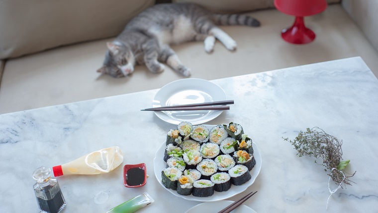 Maki sushi casero japonés en la mesa con mayonesa, wasabi y salsa de soja, mi gato tirado en el sofá al fondo.