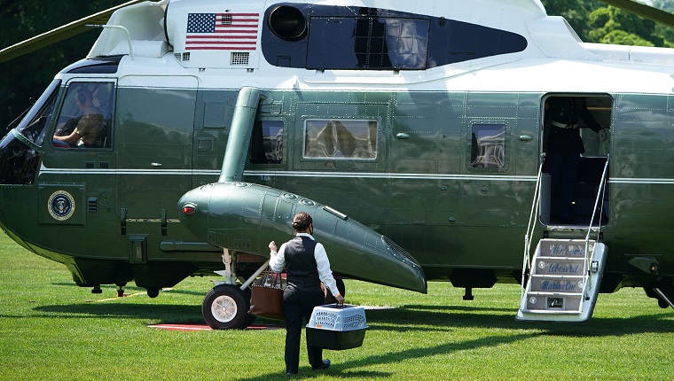 "Sauce" El gato de Biden es llevado al Marine One antes de que el presidente de EE. UU. Joe Biden y la primera dama Jill Biden aborden el Marine One en el jardín sur de la Casa Blanca en Washington, D.C. el 17 de junio de 2022. - Los Biden pasan el fin de semana en Rehoboth Beach, Delaware .  (Foto de MANDEL NGAN/AFP) 